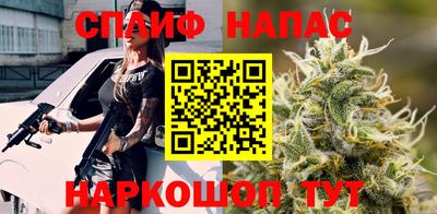 шишки Бийск