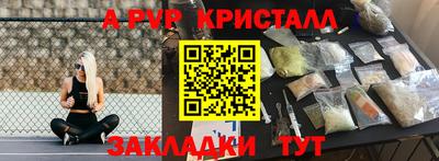 шишки Бийск