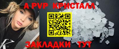 шишки Бийск