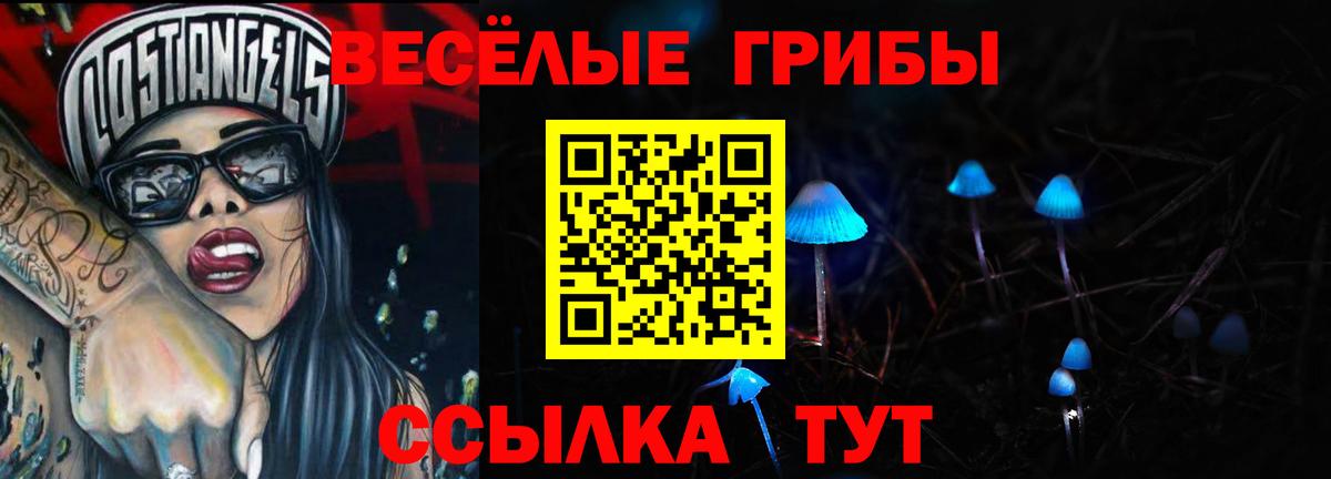 Галлюциногенные грибы мицелий  Вход с VPN  Звенигород 